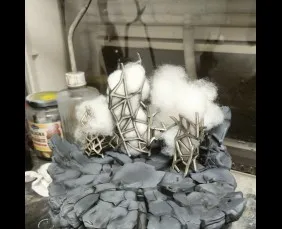 GWCC Worker project #7 1