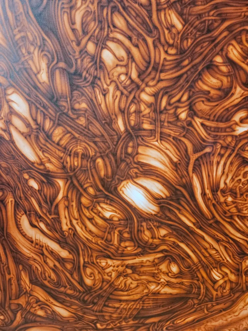 Final Submission - "The Levee Breaks " Fascial Landscape I - Category: "Other" 4