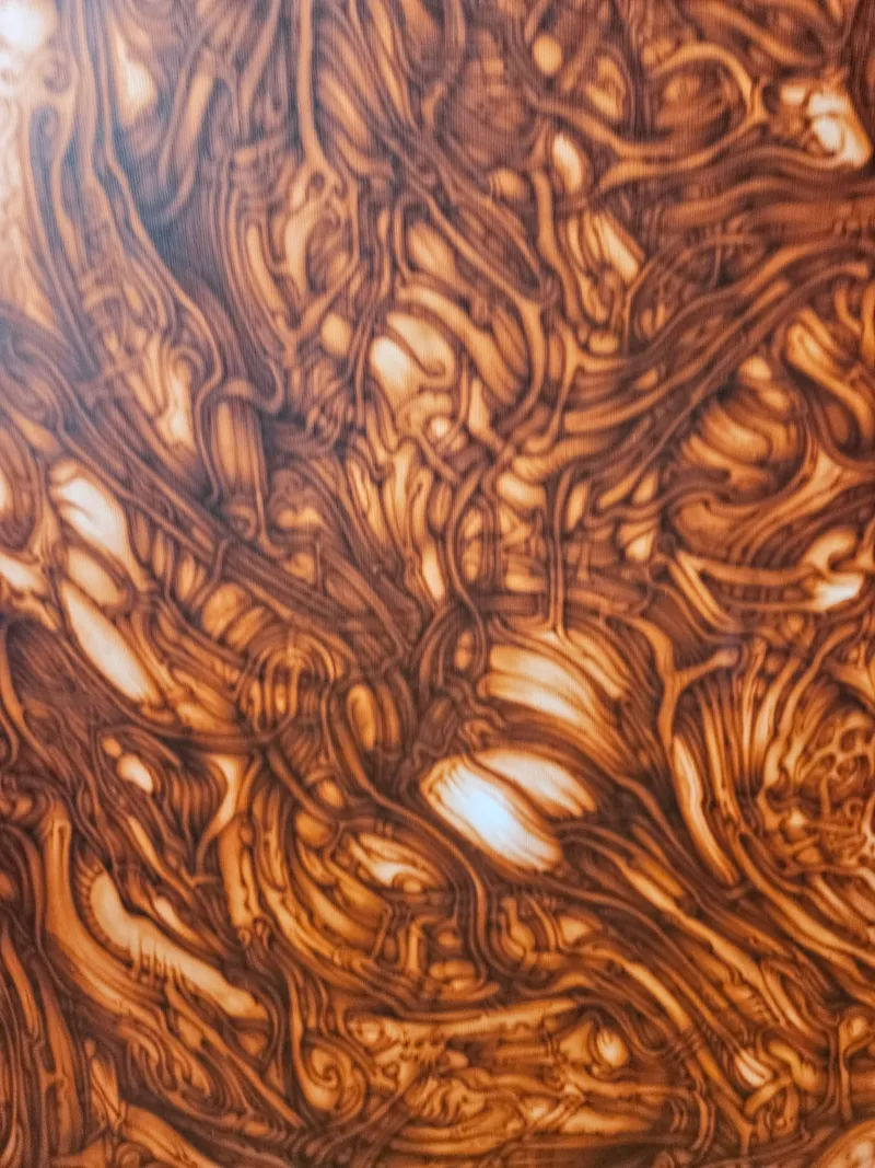 Final Submission - "The Levee Breaks " Fascial Landscape I - Category: "Other" 3