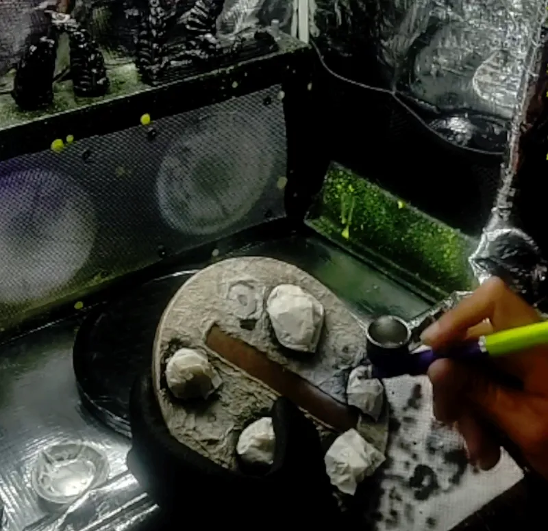 Detalles y pintura fase 2 7