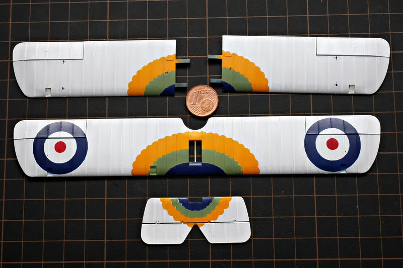 More colors on the wings 2