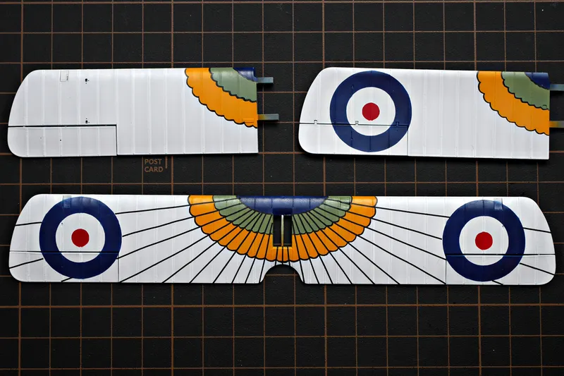 More colors on the wings 8