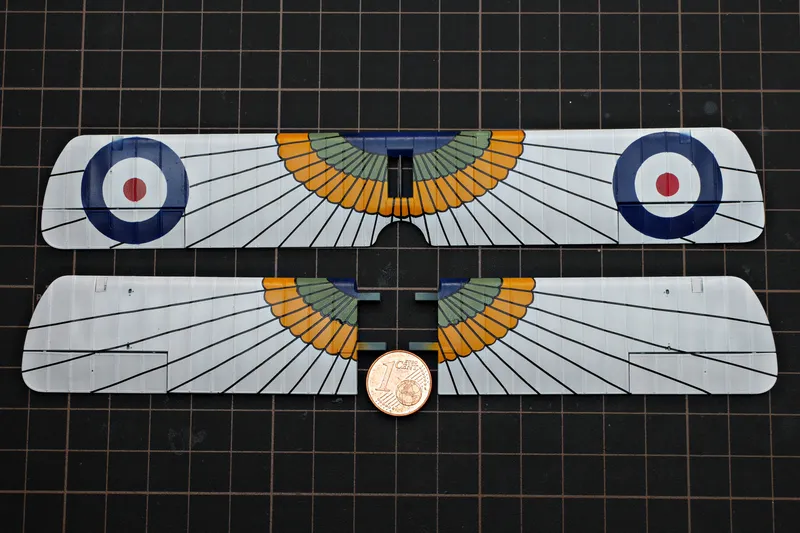 More colors on the wings 1