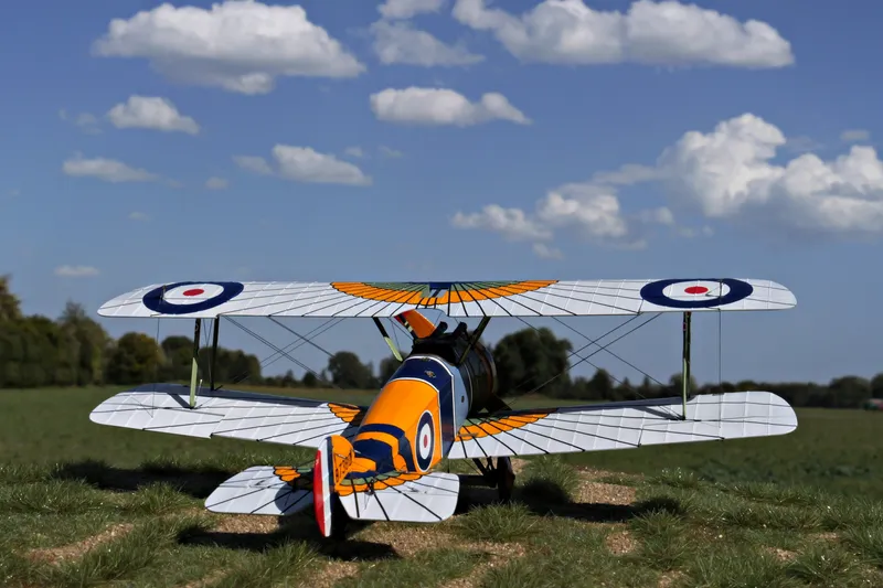 Final Update - "Wing of Horus" Camel in 1:48 10