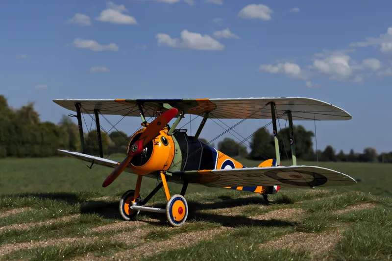 Some impressions of the Camel 4