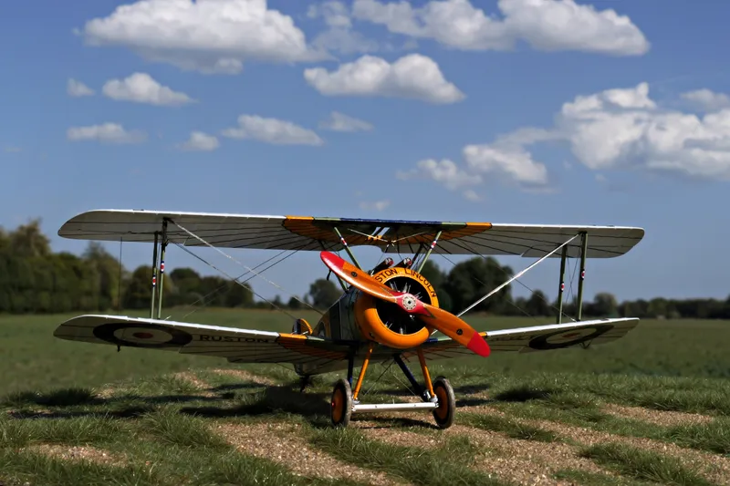 Some impressions of the Camel 8