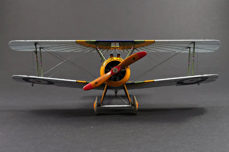 Final Update - "Wing of Horus" Camel in 1:48 2
