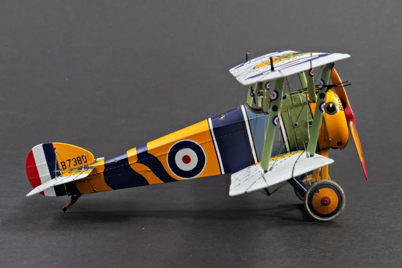 Final Update - "Wing of Horus" Camel in 1:48 4