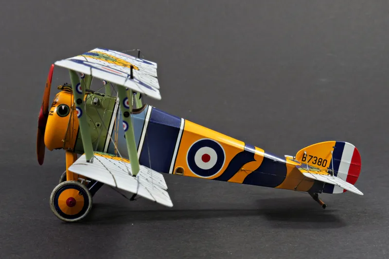 Final Update - "Wing of Horus" Camel in 1:48 5
