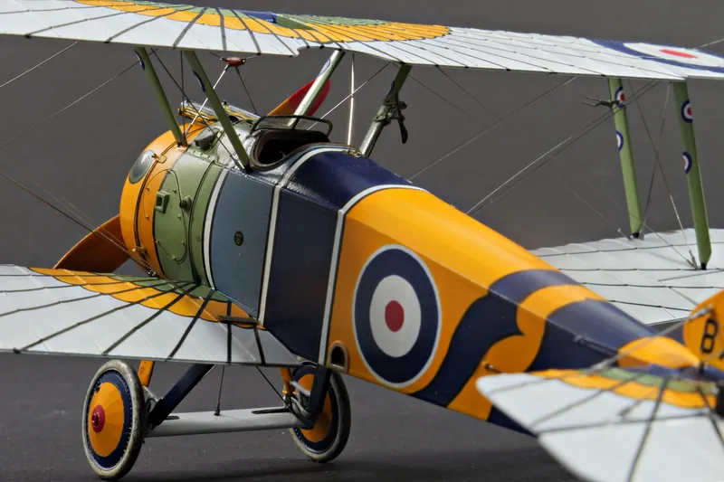 Final Update - "Wing of Horus" Camel in 1:48 1