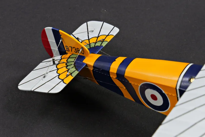 Final Update - "Wing of Horus" Camel in 1:48 8